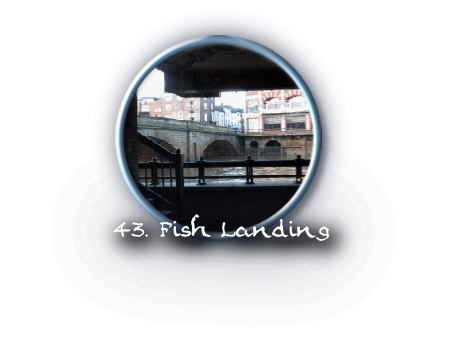 43. Fish Landing
